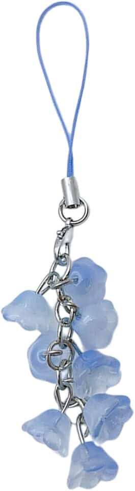 Phone Chain Keyring and Charm for Women