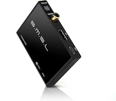 Portable USB Digital to Analog Converter with Multiple Outputs