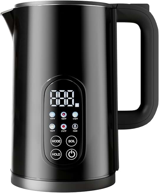 Stainless Steel Electric Kettle with Temperature Control