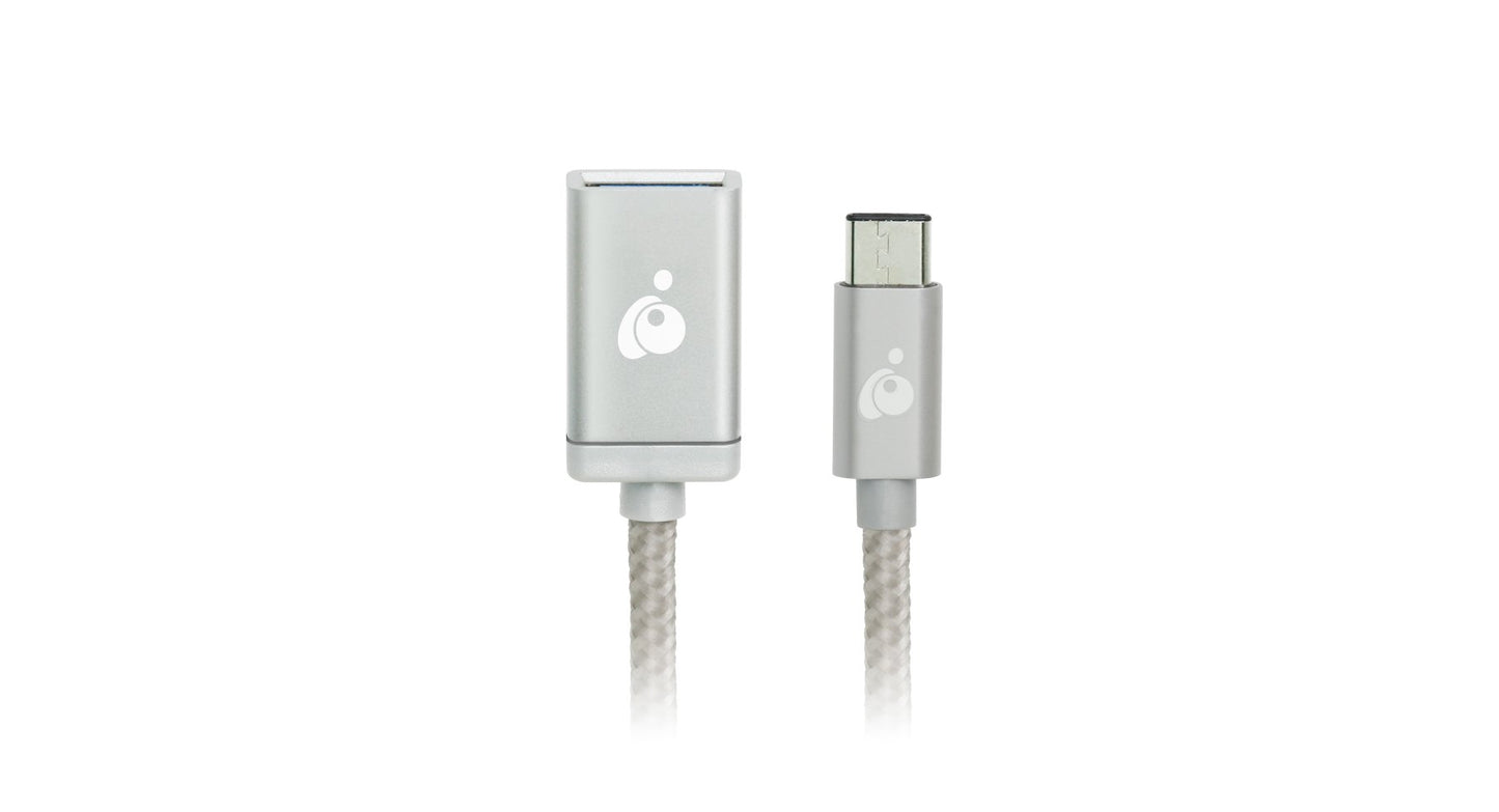 USB-C to USB-A Adapter in Silver