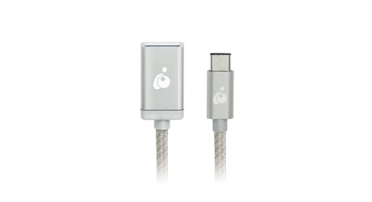 USB-C to USB-A Adapter in Silver