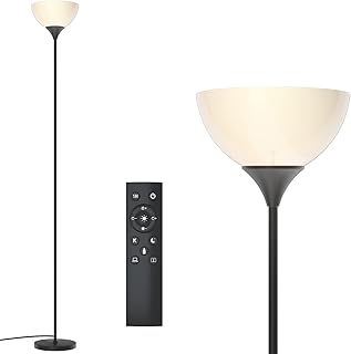 Floor Lamp with Remote Control and Adjustable Brightness