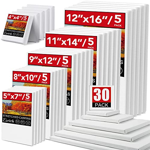 30 Pack Canvases for Painting in Various Sizes