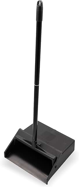 Plastic Dust Pan with Handle, 11x12 inches