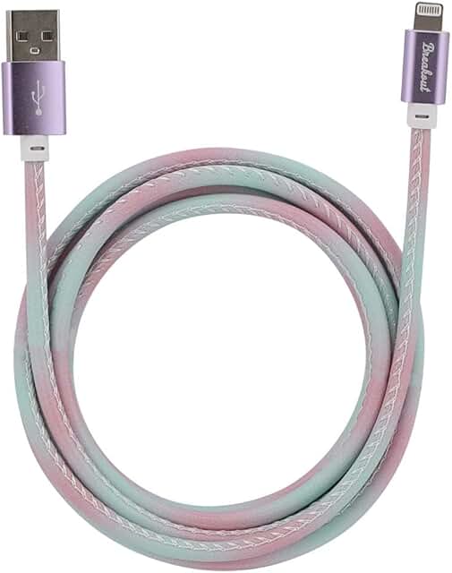 6 or 10 ft Lightning USB Cable for iPhone and iPad