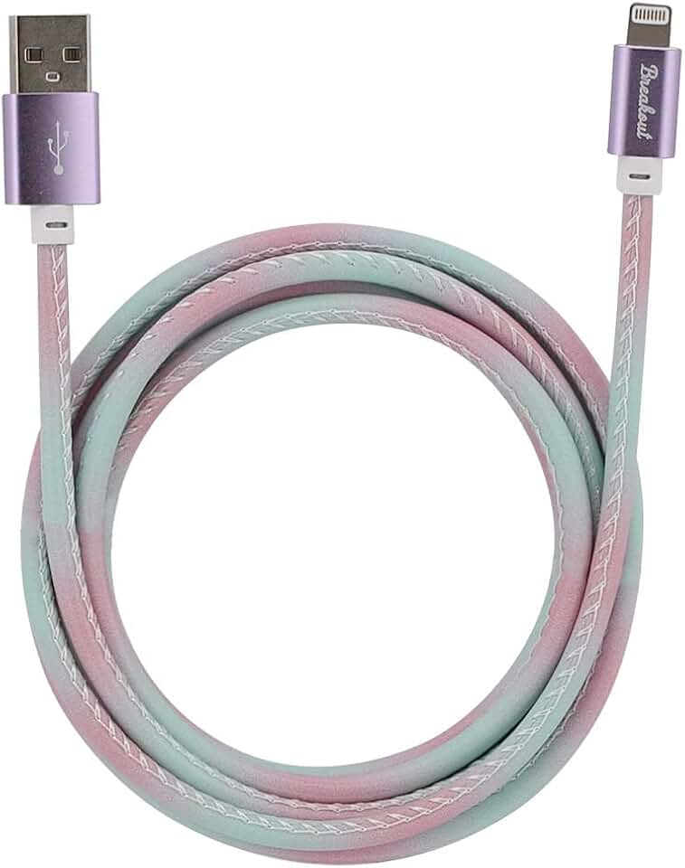 6 or 10 ft Lightning USB Cable for iPhone and iPad