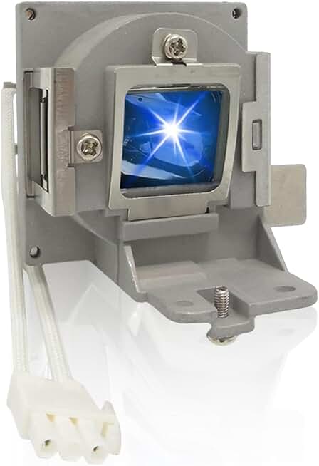 Replacement projector lamp with housing for specified models