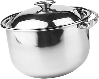 20cm Stainless Steel Stock Pot with Lid