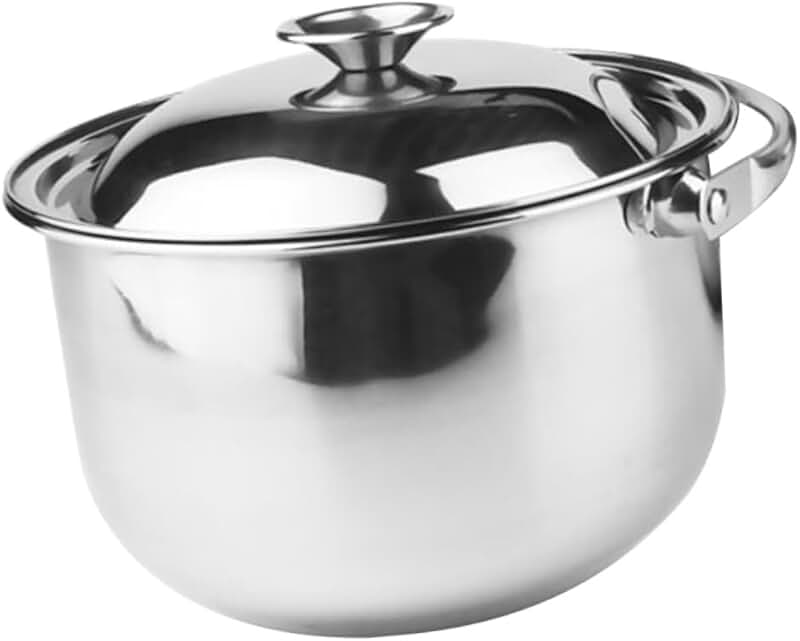 20cm Stainless Steel Stock Pot with Lid