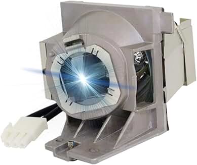 Premium Replacement Lamp Bulb with Housing for Projectors