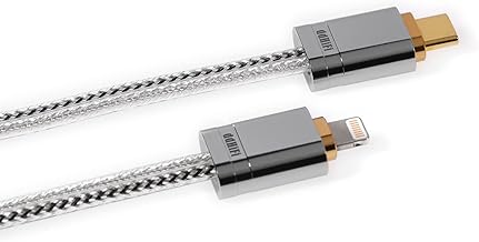 Lightweight L to USB-C OTG Audio Converter Cable