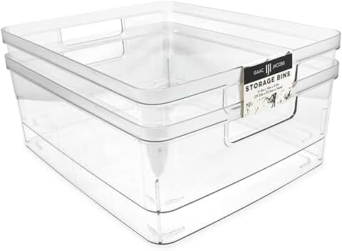 Large Clear Storage Bins with Handles, 2 Pack