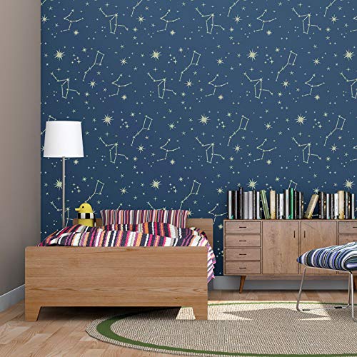 Reusable Plastic Wall Pattern 43x64cm Constellation Night Sky