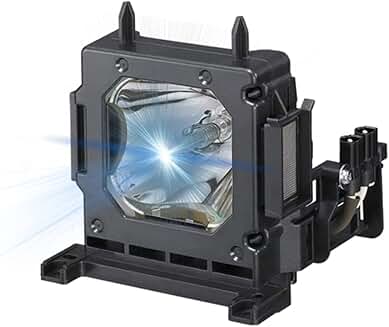 Replacement projector lamp with housing for select models