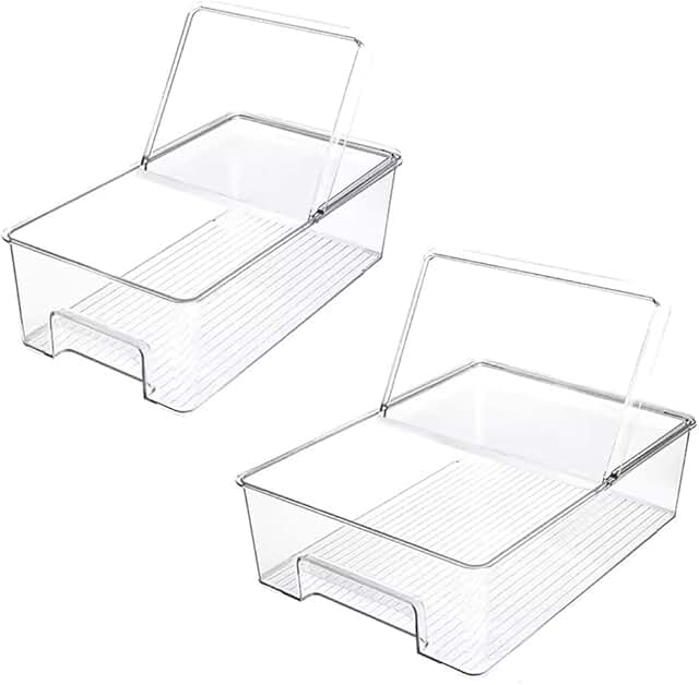 Set of 2 Food Storage Containers for Fridge and Pantry