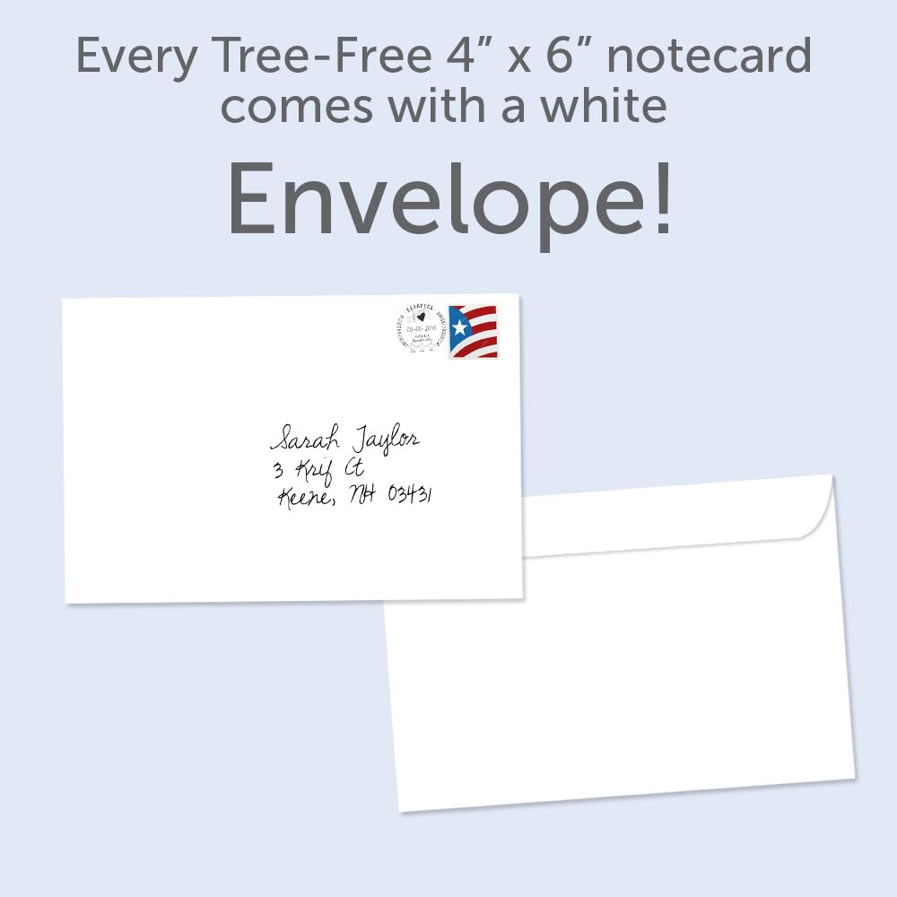 All Occasion Greeting Cards with Bluebirds, 12 Pack