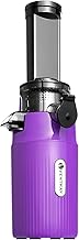 Mini Cold Press Juicer for Fruits and Vegetables