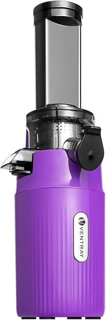 Mini Cold Press Juicer for Fruits and Vegetables