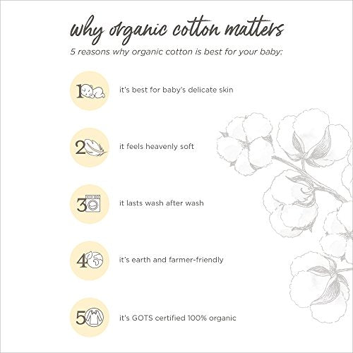 uni   Pants, of 2 Lightweight Knit Infant Bottoms, 100%  Cotton and Toddler Layette Set, Grey Solid/Stripes,   US