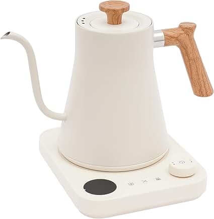 0.9L 1200W Stainless Steel Electric Gooseneck Kettle