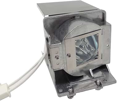 Replacement Projector Lamp Bulb with Housing for InFocus Models
