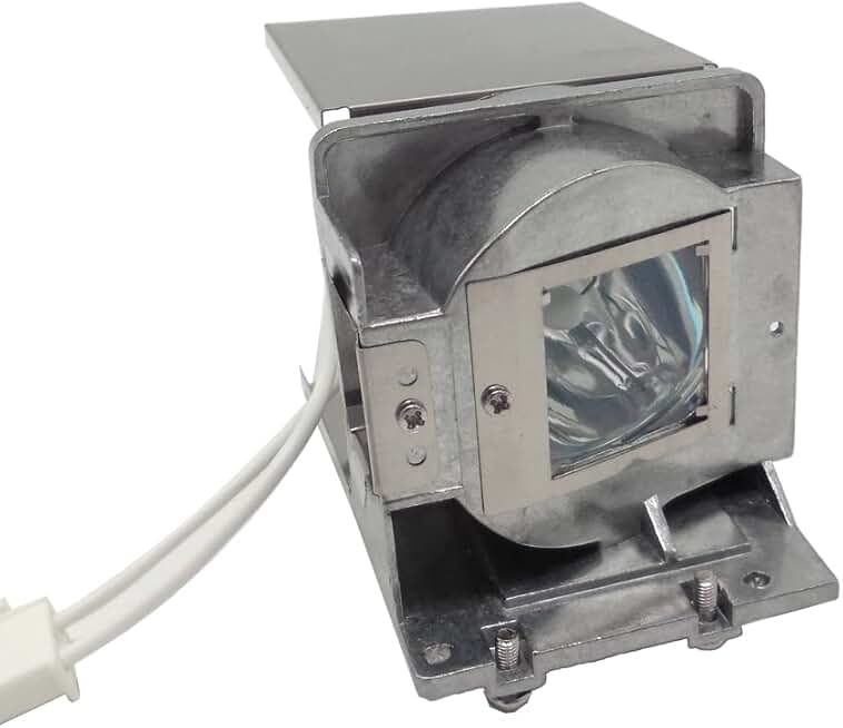 Replacement Projector Lamp Bulb with Housing for InFocus Models