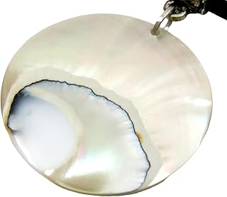 Natural Pearly Nautilus Shell Necklace for Women