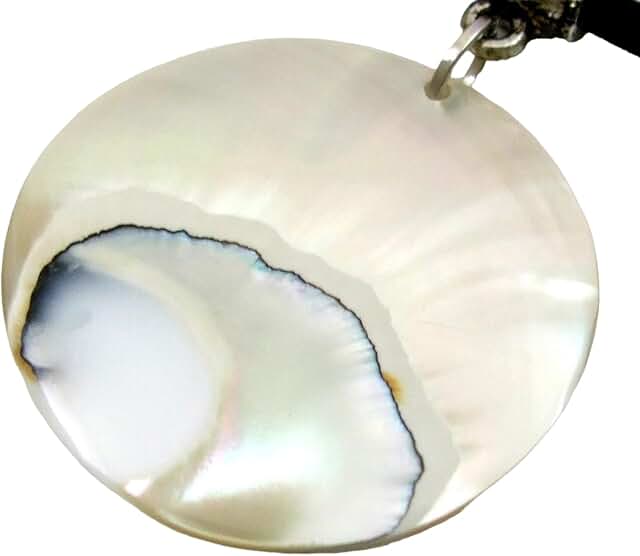 Natural Pearly Nautilus Shell Necklace for Women