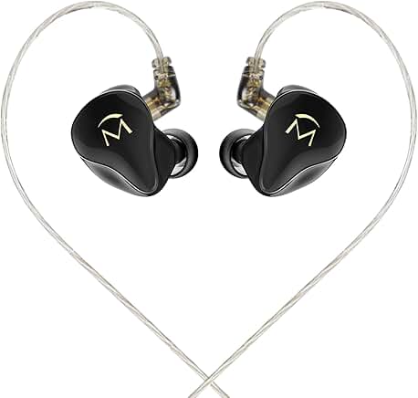 In-Ear Earphones with Mic and Controls