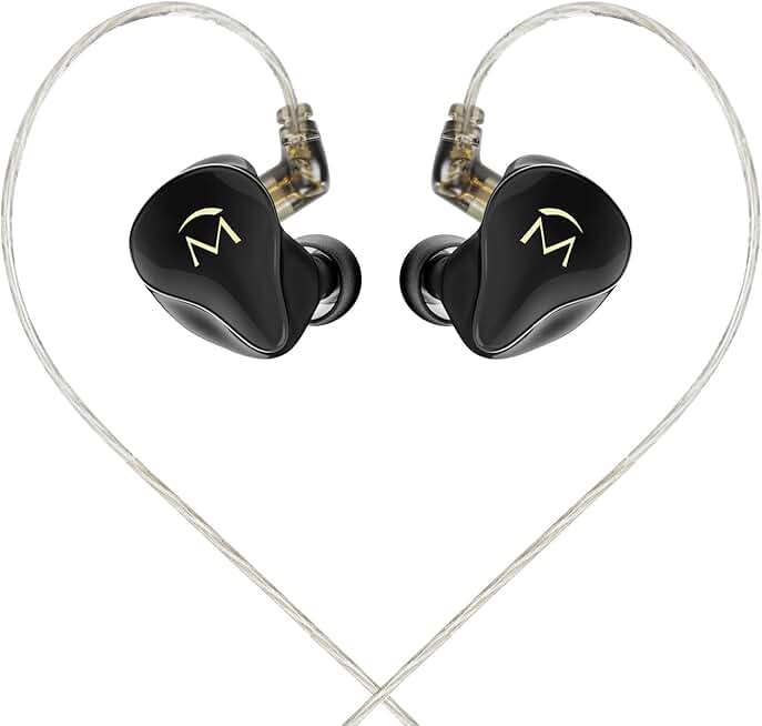 In-Ear Earphones with Mic and Controls