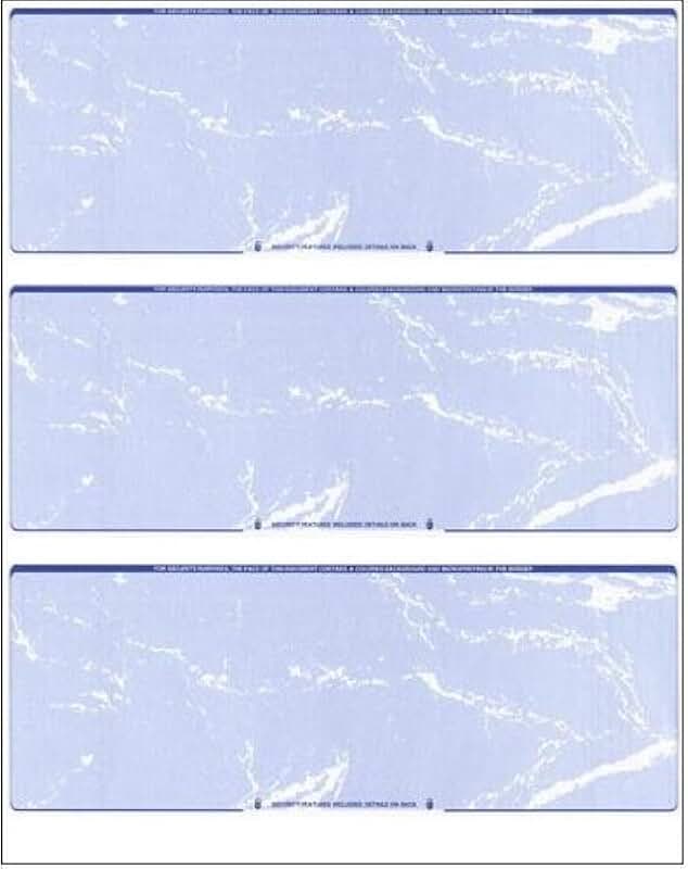 300 Blank Computer Checks, 3 per page, 100 sheets