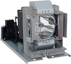 Professional Projector Lamp Bulb with Housing