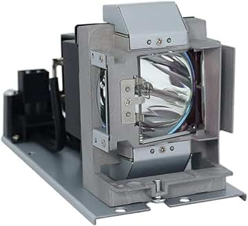 Professional Projector Lamp Bulb with Housing