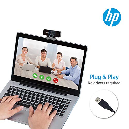 W300 Webcam, Web Video Cam w. Built-in Dual Mic, Full HD 1080P, Wide Angle Lens, Easy Plug &Play for Live Streaming/Conference/Skype/Online Class, Compatible w. Mac Windows Laptop Desktop Monitors