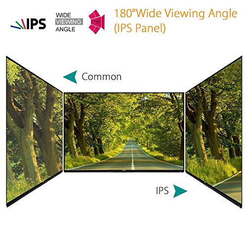 10 inch Monitor HDMI LCD Monitor 1920x1200 16:10 IPS Screen Display with BNC VGA AV Output for CCTV DVD PC Laptop DVR Built-in Loudspeakers