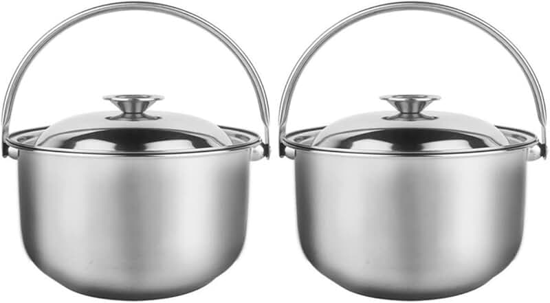 Set of 2 stainless steel cooking pots with lids