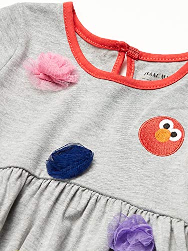 Sesame Street Baby Girls Multi Character Long Sleeves Pullover Infant Dress, Grey, 0-3 Months