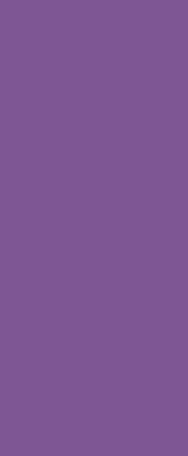 Purple Brazilian Velour Beach Pool Towel 30x60