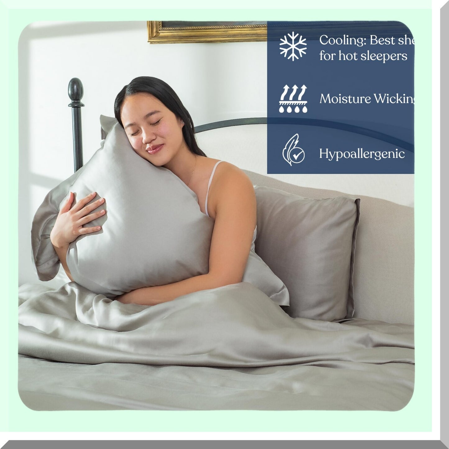 EcoLux Eucalyptus Pillowcase Set - 2 Pack, 21x32, Dove Grey, Easy Care - Soft Lyocell Bedding for Queen Size Pillows - Sustainable Luxury Sleep Essentials