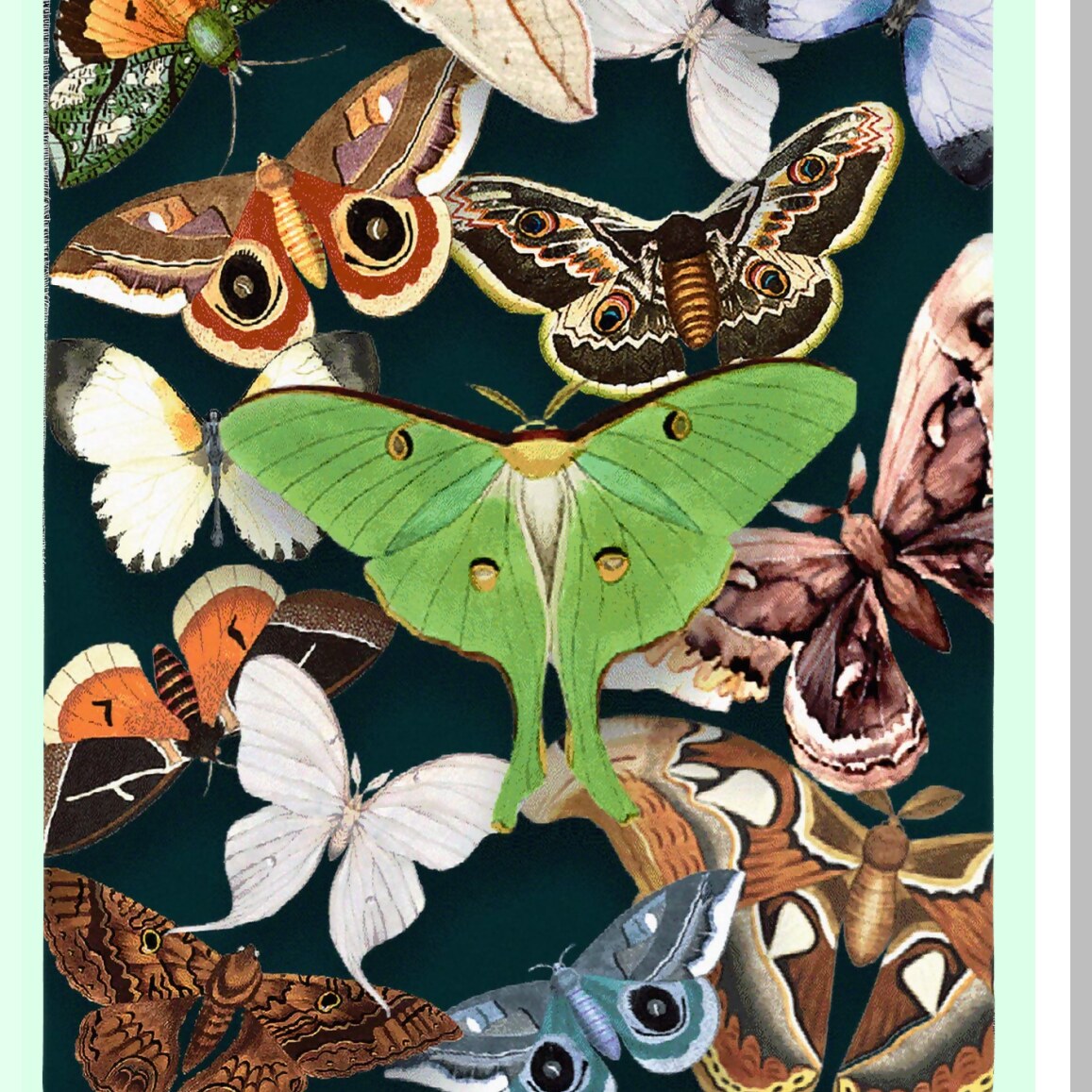 Emerald Moth Cotton Tapestry Blanket - Luxurious Woven Throw, Perfect Gift, Made in USA, 72x54