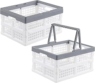 Two Collapsible Plastic Storage Crates with Handles
