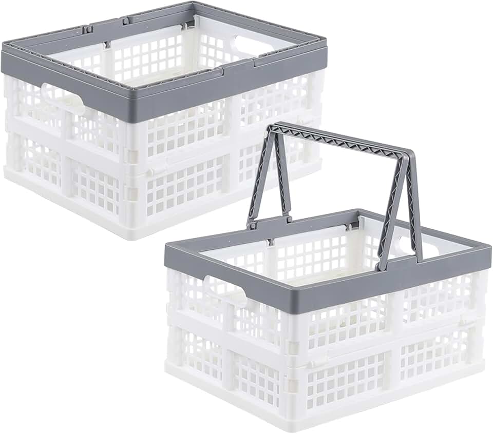 Two Collapsible Plastic Storage Crates with Handles