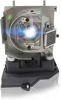 NP20LP Projector Lamp with Housing for U300X and U310W