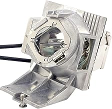 Replacement lamp bulb with housing for projector models