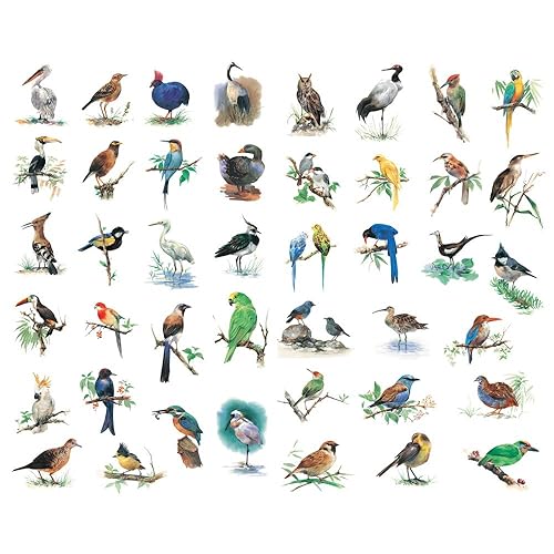 Watercolor Bird Stickers for Journals and Crafts
