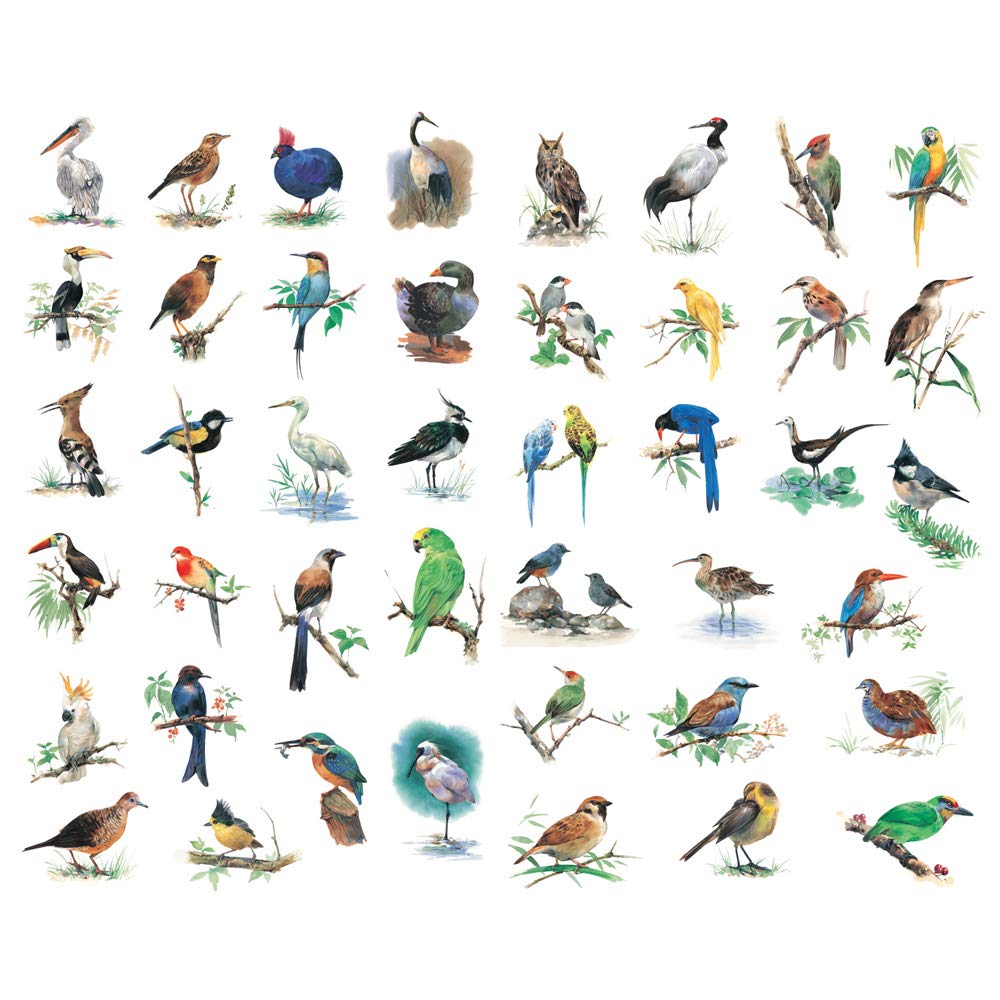 Watercolor Bird Stickers for Journals and Crafts
