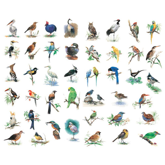 Watercolor Bird Stickers for Journals and Crafts