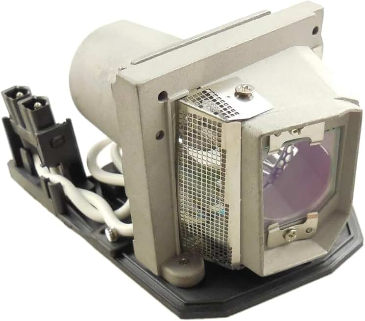 Replacement Projector Lamp Bulb with Housing for TDP-XP1 and TDP-XP2