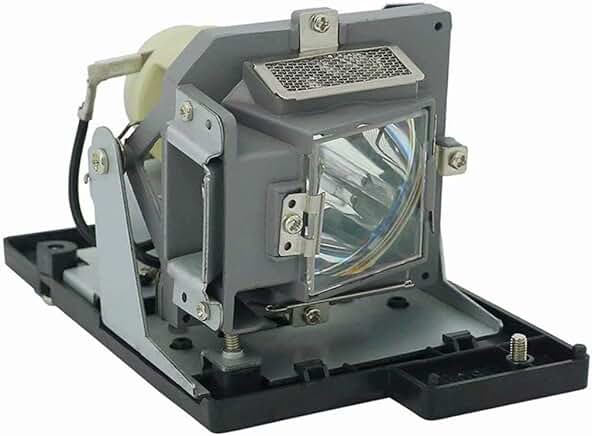 Replacement Projector Lamp with Housing for D-837 and D-825MX