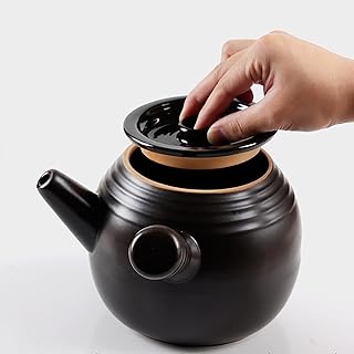 Ceramic Medicine Cooker and Tea Kettle, 1.6L